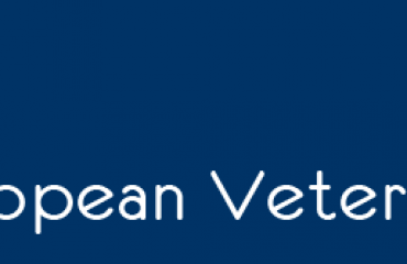 EVF